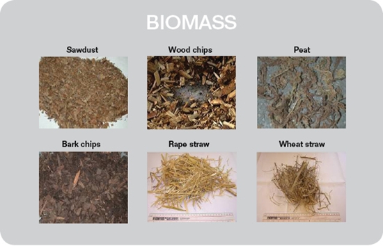 biomass fuel