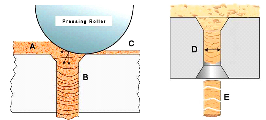 holes of the die