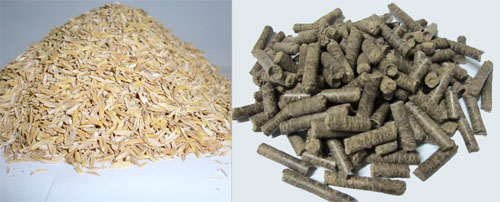 rice husk and pellets