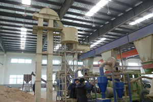 India customer visit 5-6 ton/h pellet plant project