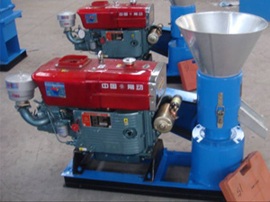 ZLSP-R-200A sawdust pelletizer machine