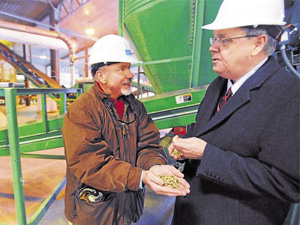 biomass pellets for industrial fuel