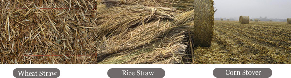 diverse straw 