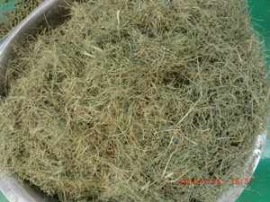 biomass material-grass