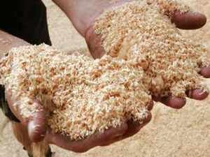 raw material sawdust