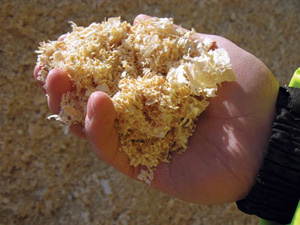 sawdust material
