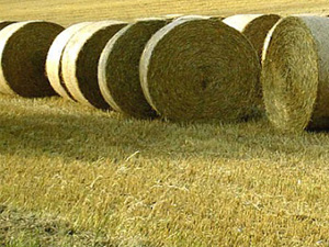 straw materials