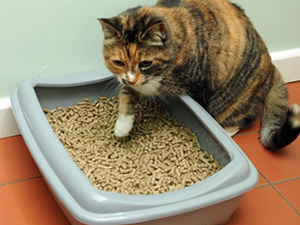 straw pellets for cat litter