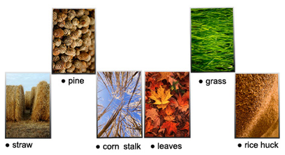 various biomass materials